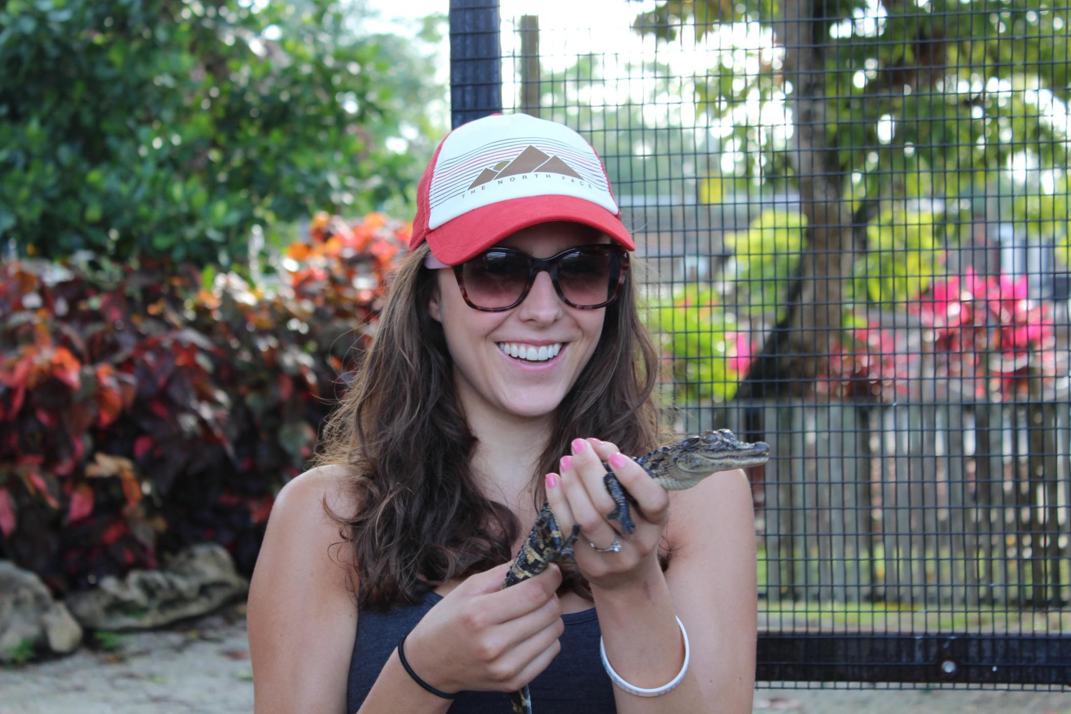 Everglades Airboat Rides, Tours, and Shows | Everglades Alligator Farm