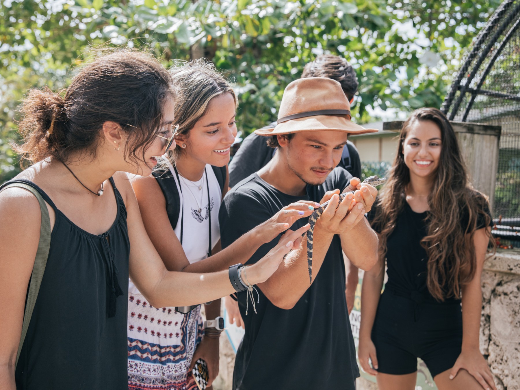 a group of people encounter a baby alligator