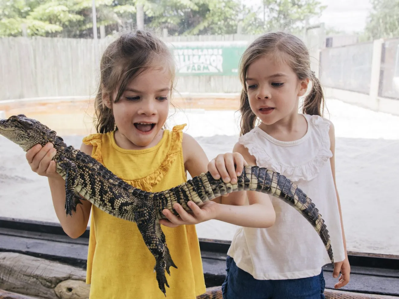 a little girl smiling at the zoo