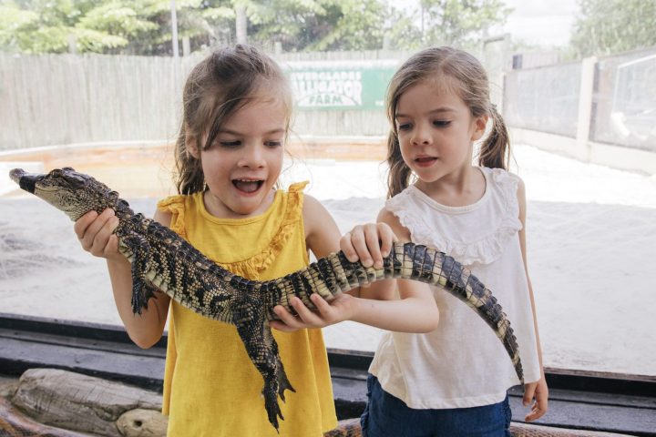 a little girl smiling at the zoo