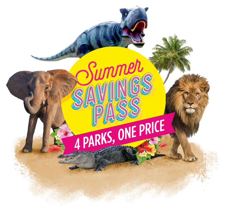 Summer Savings Pass Everglades Alligator Farm