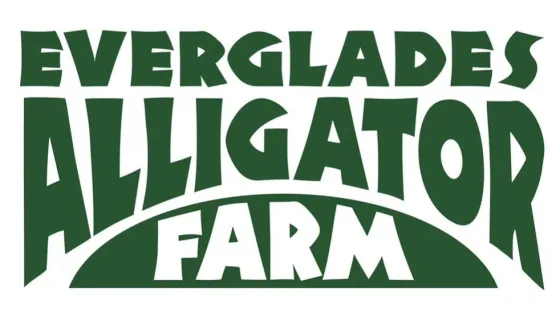 IMG_0819 logo, company name
