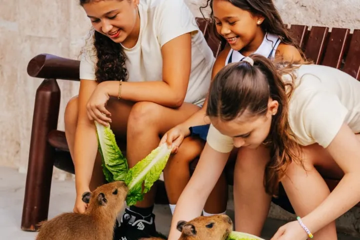 a small child sitting on a bench with a dog