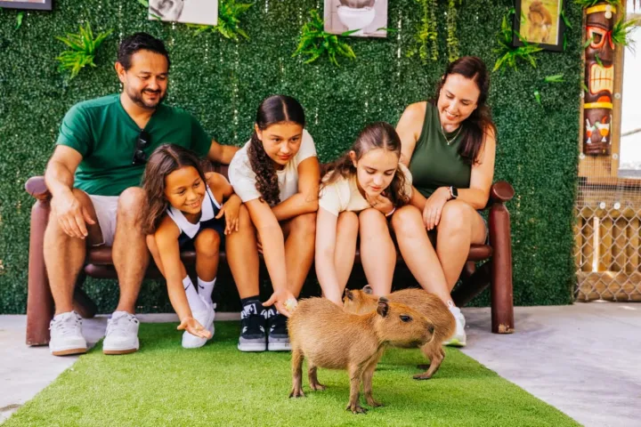 a group of people sitting on a bench with a dog