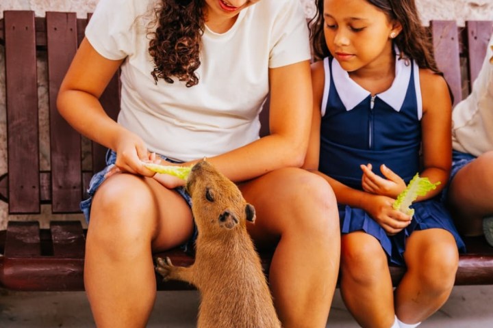 a group of people sitting on a bench